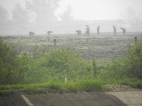 s-20120513 tanto (24).jpg
